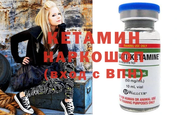 дмт Алзамай