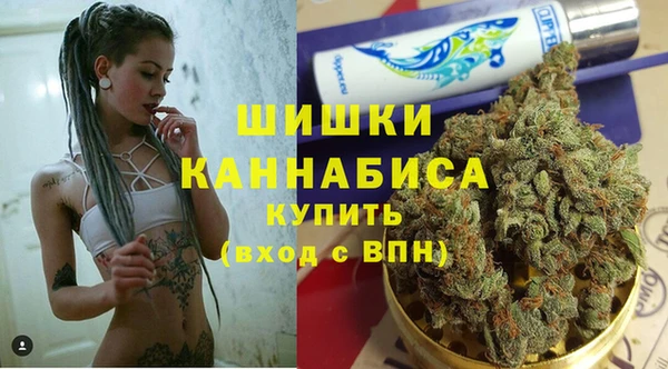 дмт Алзамай
