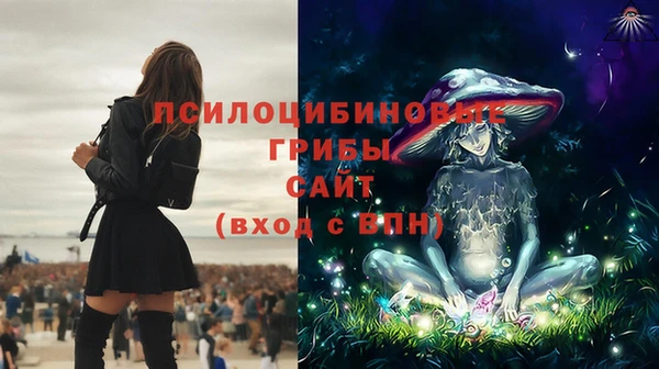 2c-b Нязепетровск