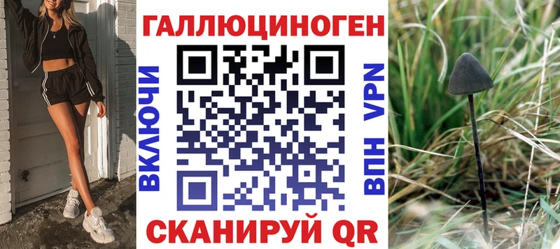 Псилоцибиновые грибы Psilocybine cubensis  где купить   Асино 